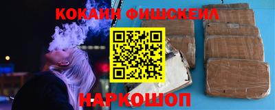 индика Славгород