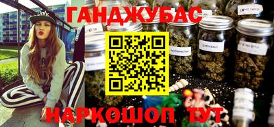 индика Славгород