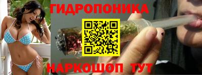 индика Славгород