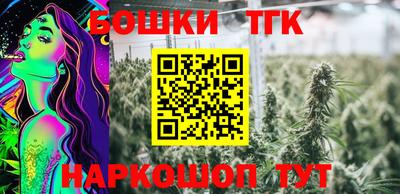 индика Славгород
