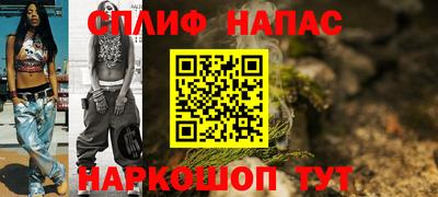 индика Славгород