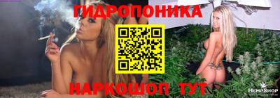 молекула духа Сланцы